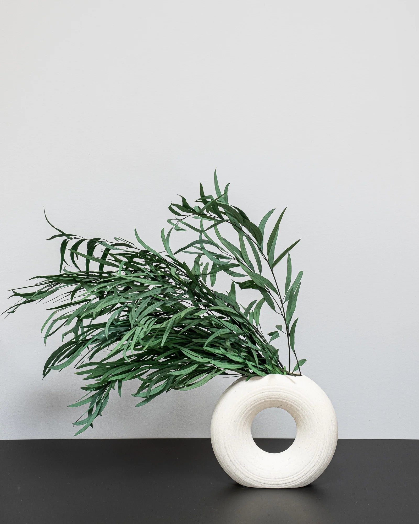 Eucalyptus Nicoli för långvarig grön inredning
