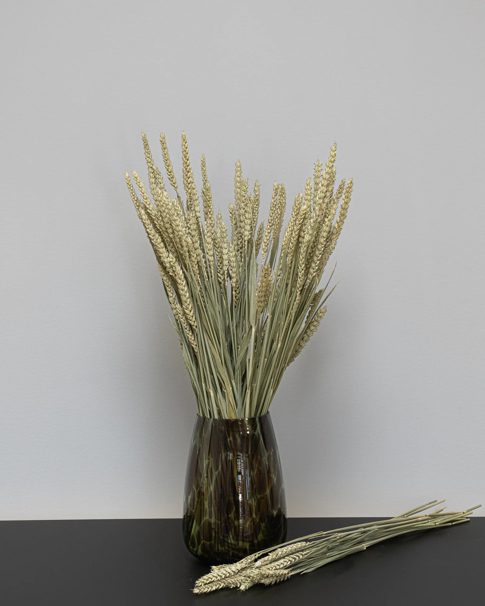 Vete – torkade blommor 50–60 cm i Silver
