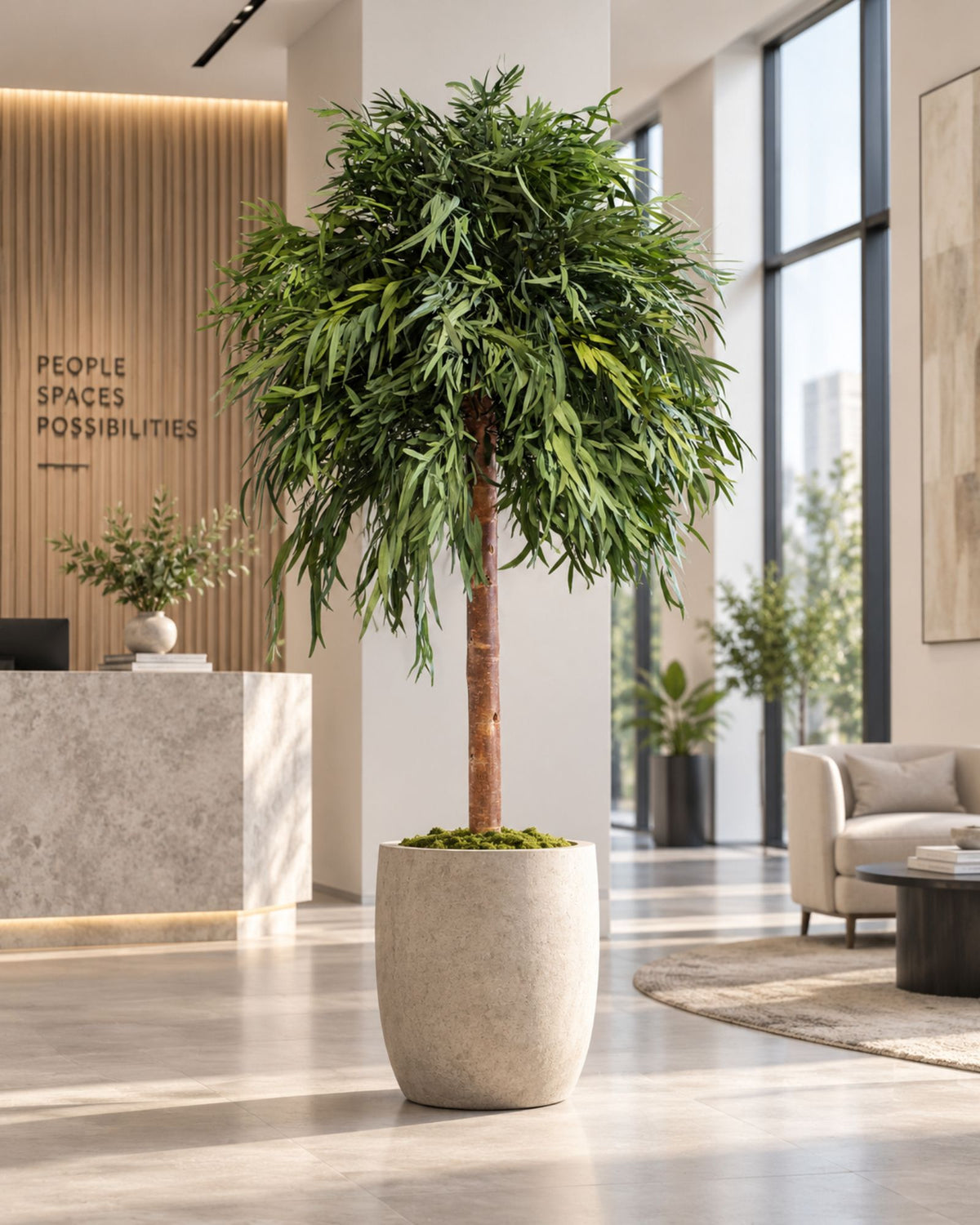 Preserved Eucalyptus Tree Nicoli – Crown