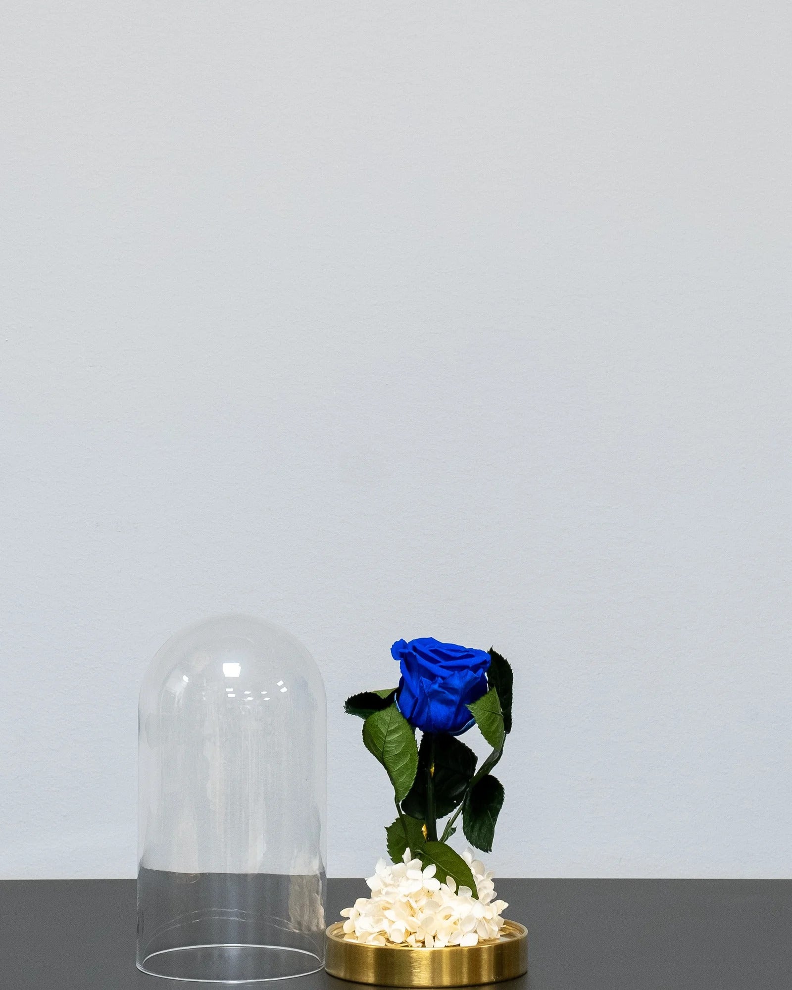 Details der Rosen in der Glaskuppel mit Infinity-Rosen und Hortensie