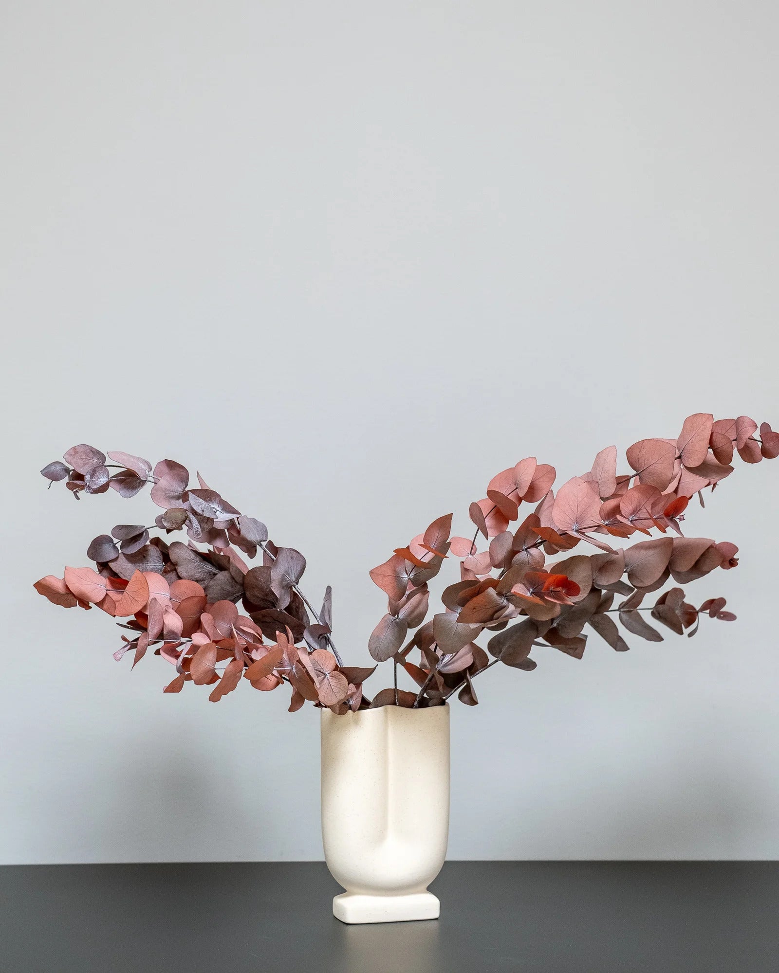 Detaljbild av Eucalyptus Cinerea som konserverad växt