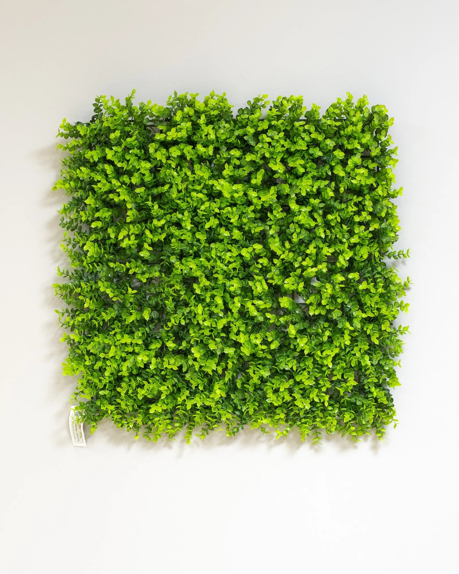 Konstgjord växtvägg Tallblad – 50 × 50 cm UV – konstgjord växtvägg från Forever Flora