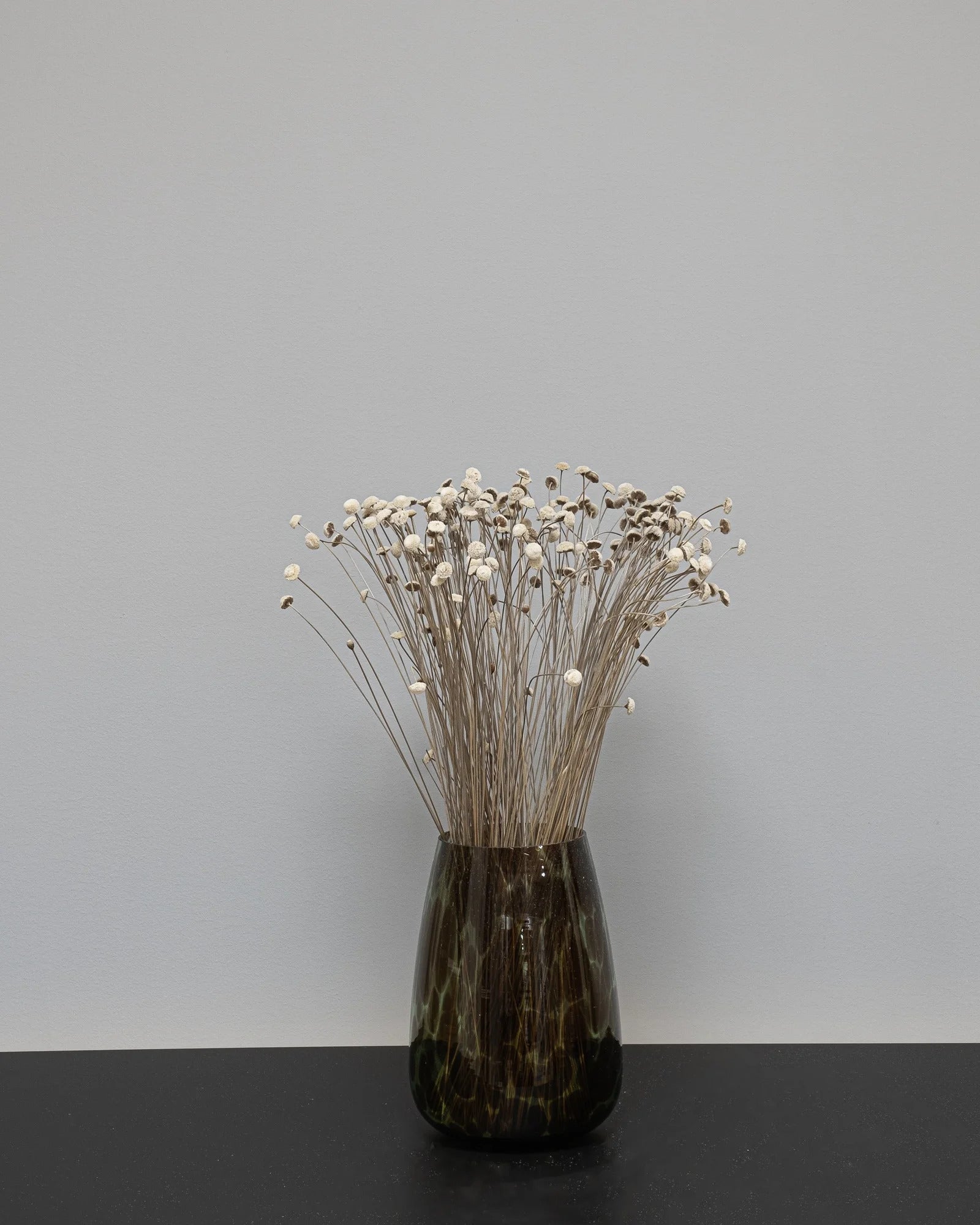 Botao – torkade blommor 40–50 cm