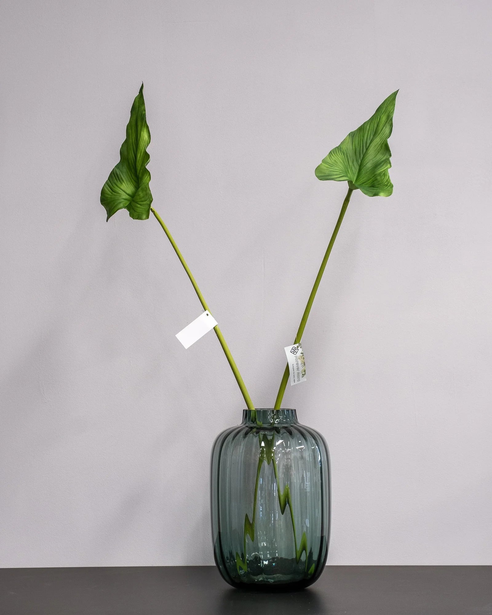 Närbild på detaljerna i Konstgjort Alocasia cucullata blad – 75 cm
