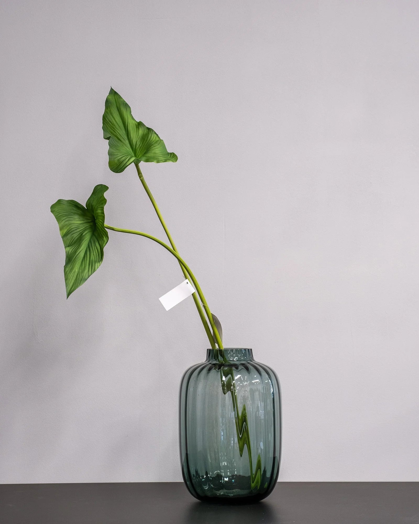 Konstgjort Alocasia cucullata blad – 75 cm – konstgjord växt från Forever Flora