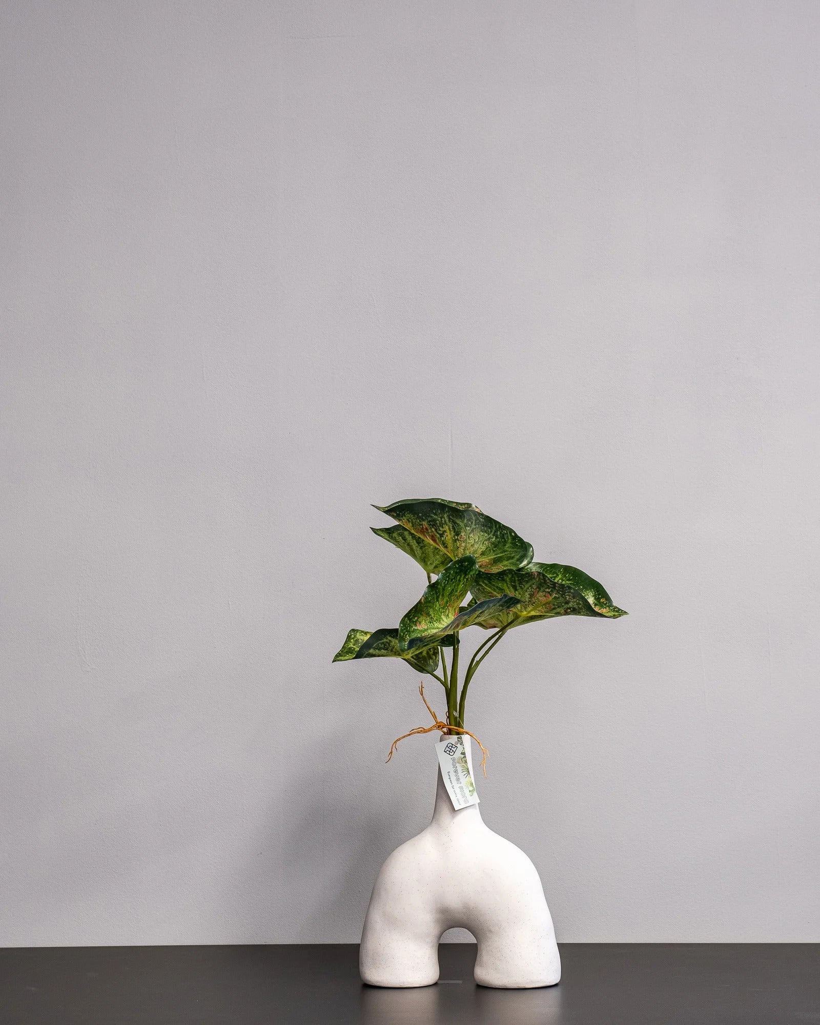 Konstgjord Caladium bladslinga – 30 cm – konstgjord växt från Forever Flora