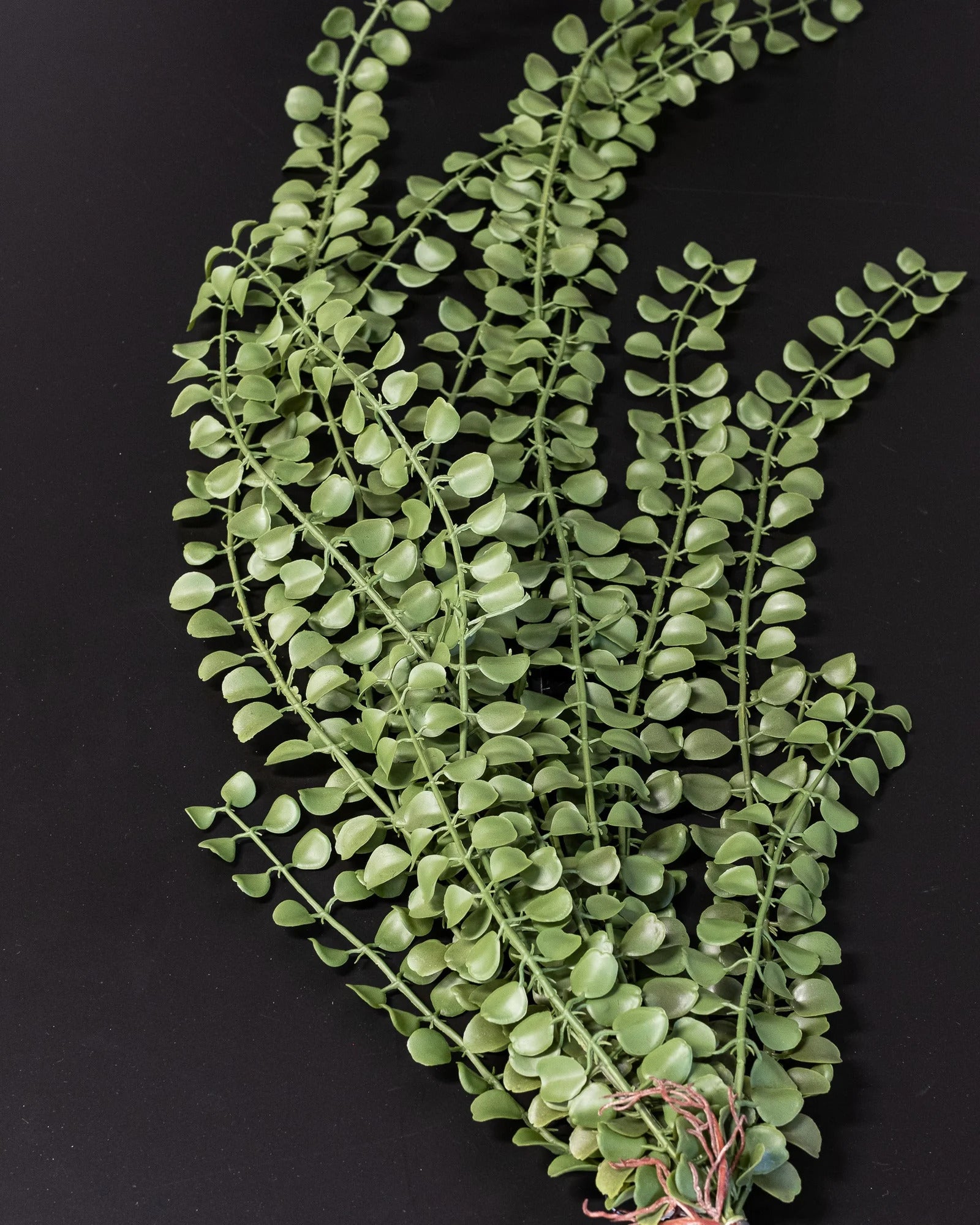 Närbild på detaljerna i Konstgjord Pilea bukett – 90 cm