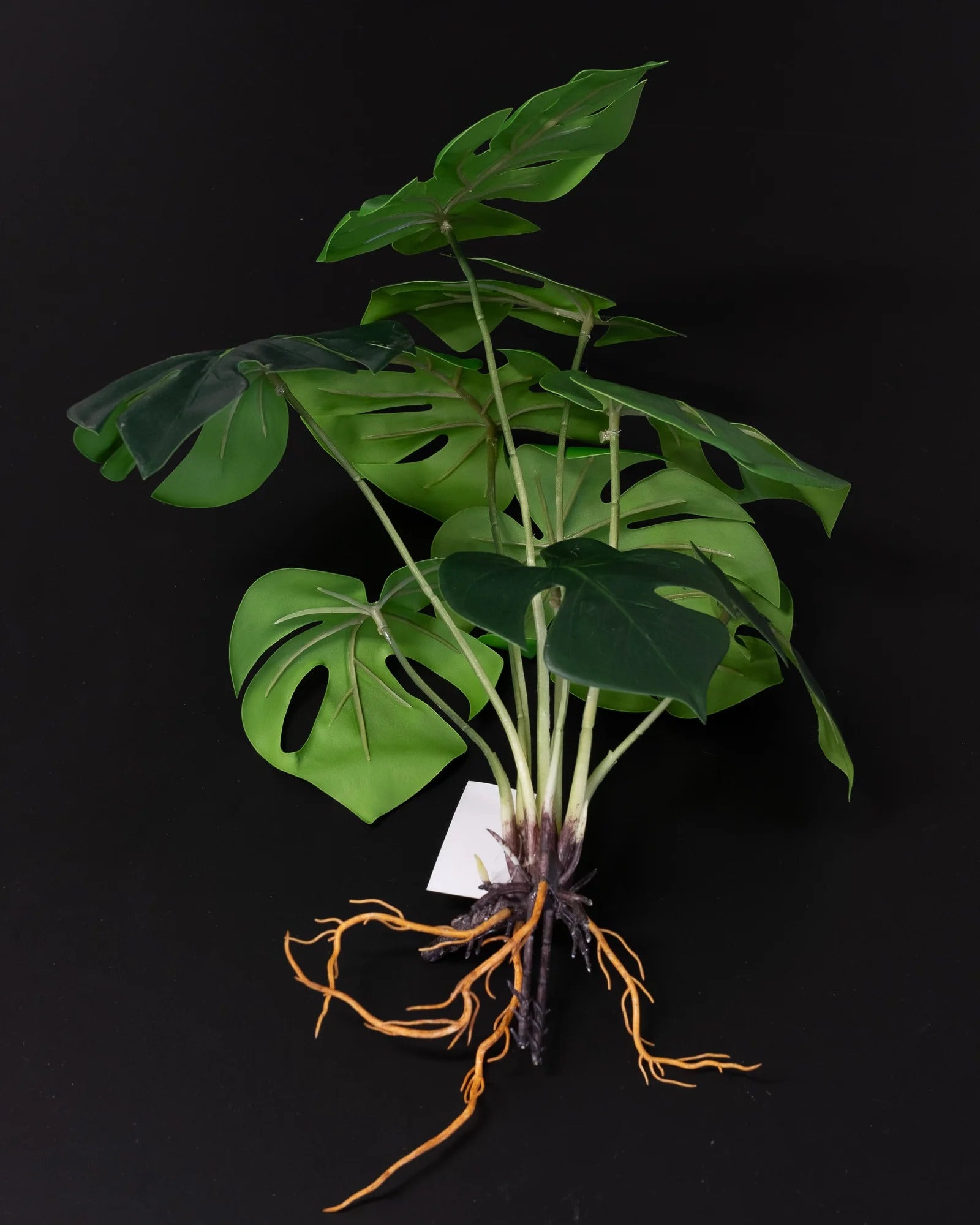 Närbild på detaljerna i Konstgjord Monstera bladdekoration – 35 cm