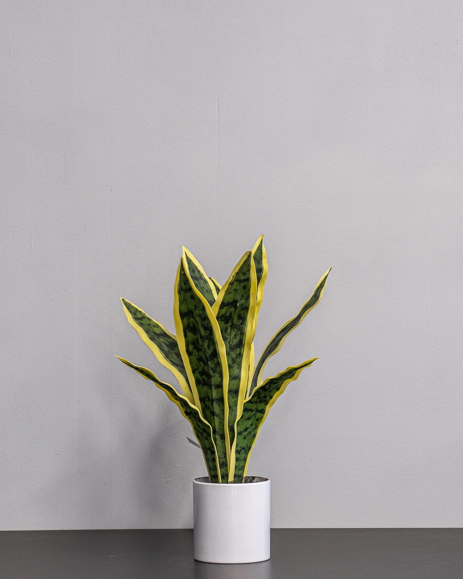 Konstgjord Sansevieria i keramikkruka – 40 cm – konstgjord växt från Forever Flora