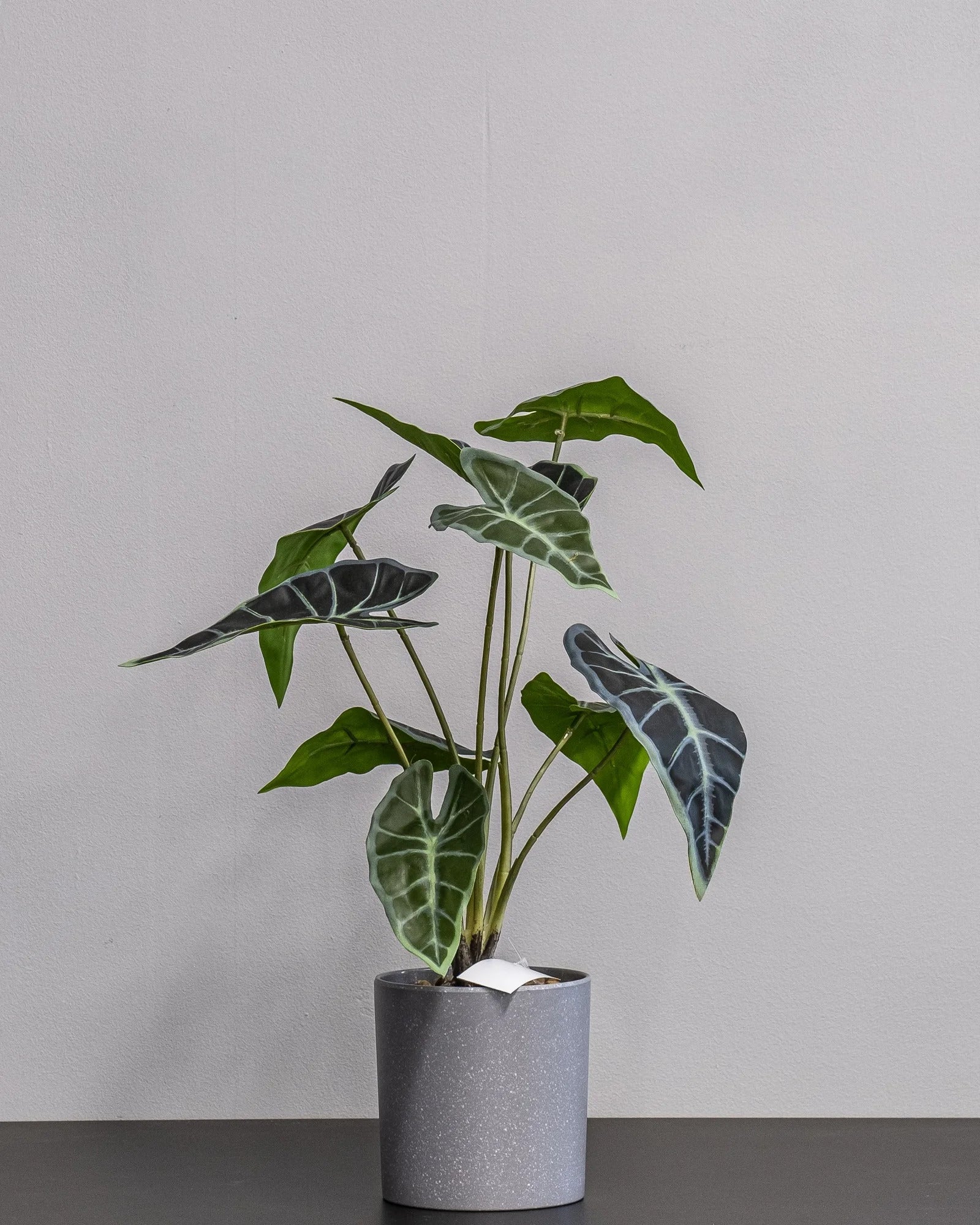 Konstgjord Alocasia krukväxt – 45 cm som dekorativ produkt för hem och inredning