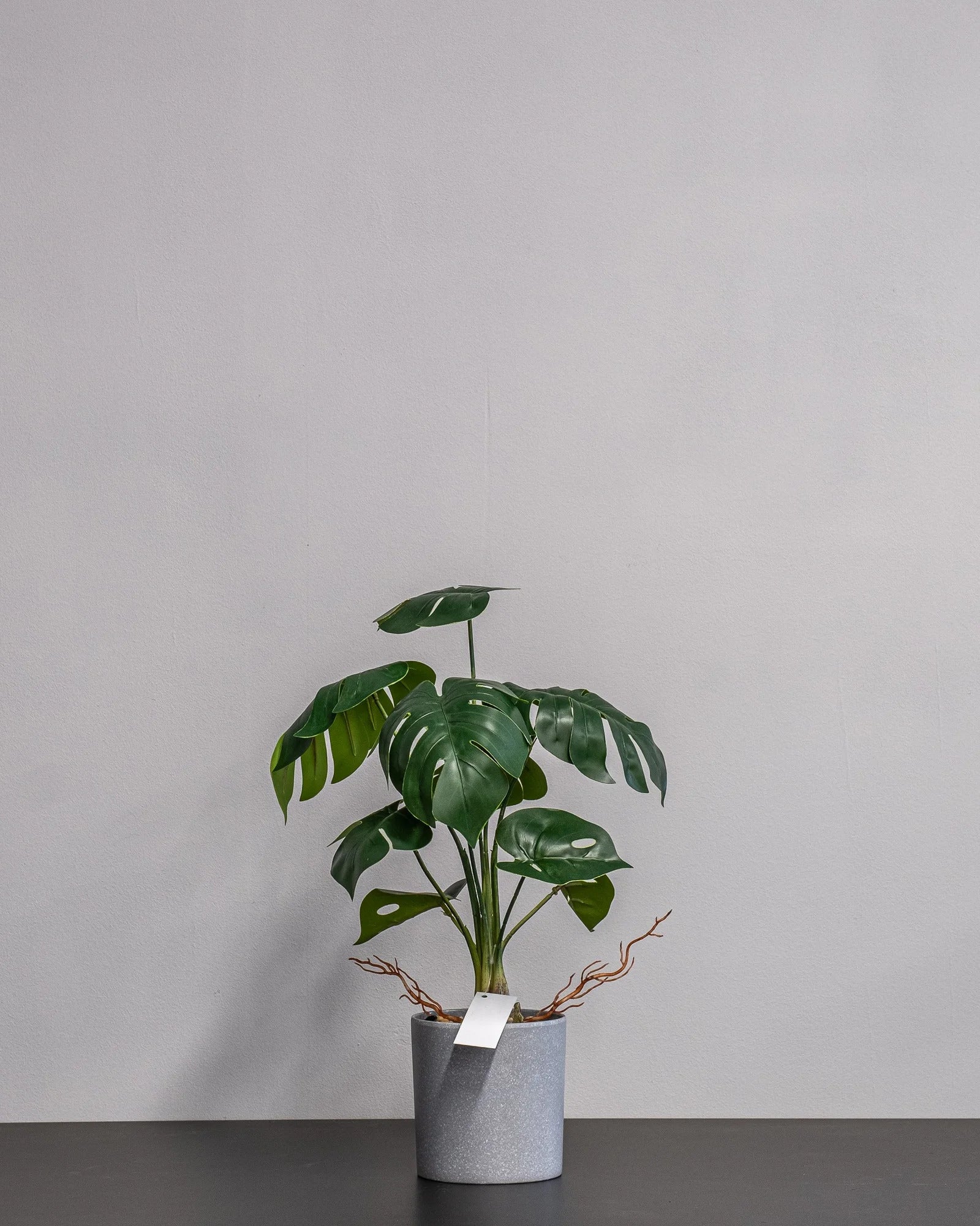 Konstgjord Monstera krukväxt i plastkruka – 45 cm – konstgjord växt från Forever Flora