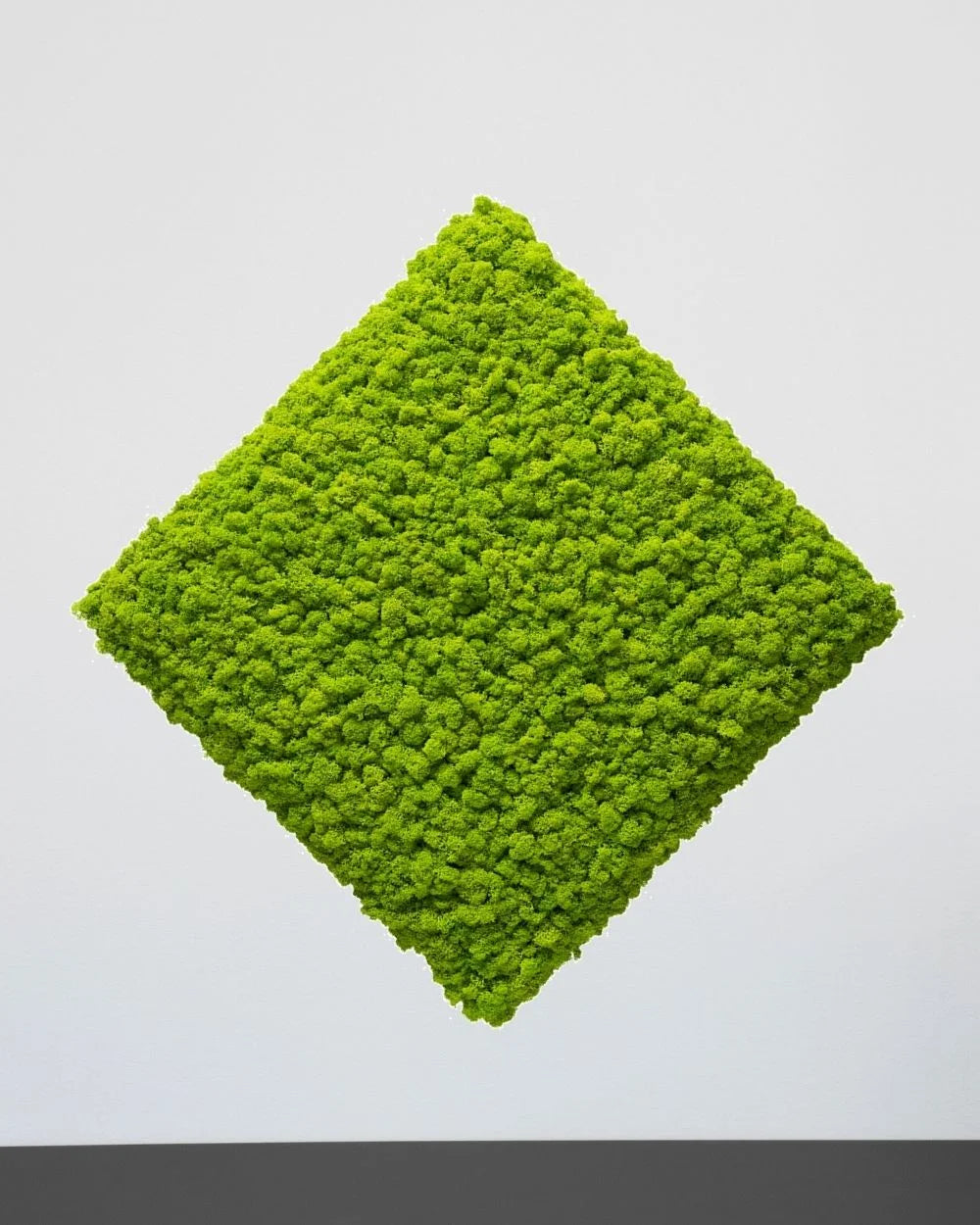 Farbvariante Gelb des quadratischen Moospaneels aus echtem Islandmoos – 30 × 30 cm