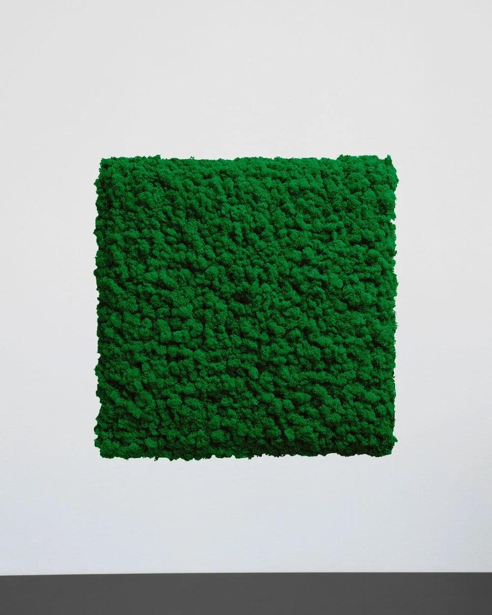 Quadratisches Moospaneel aus echtem Islandmoos als dekoratives Paneel im Innenraum – Natur, 30 × 30 cm