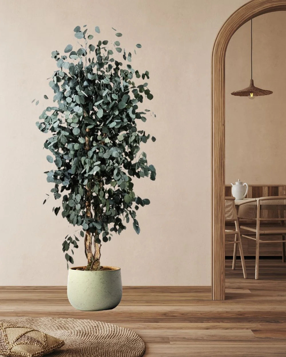 Konserverat eukalyptusträd Populus – Slim med storleksvarianter 130 cm, 180 cm och 240 cm