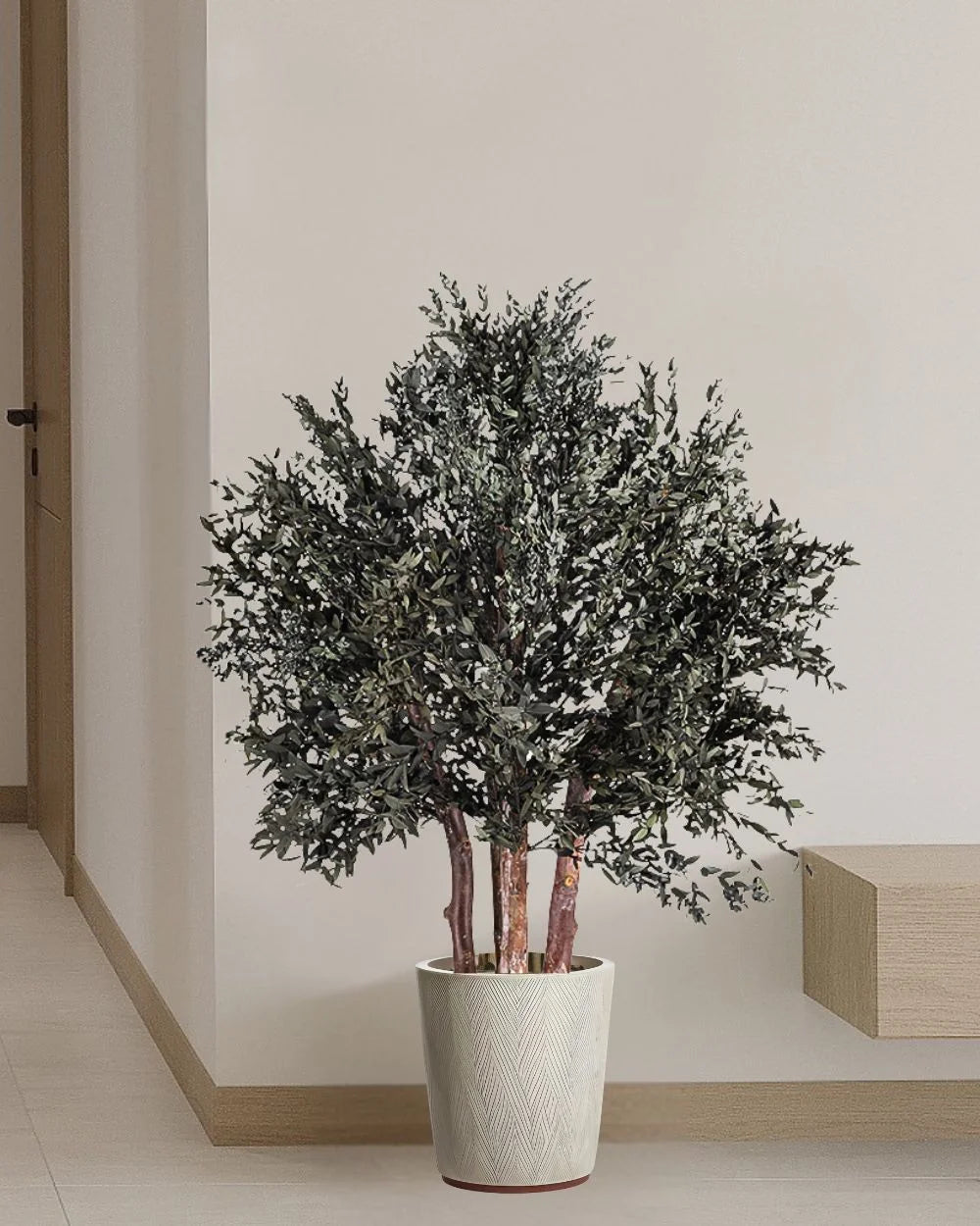 Konserverat Eucalyptus Parvifolia buskträd 80 eller 110 cm