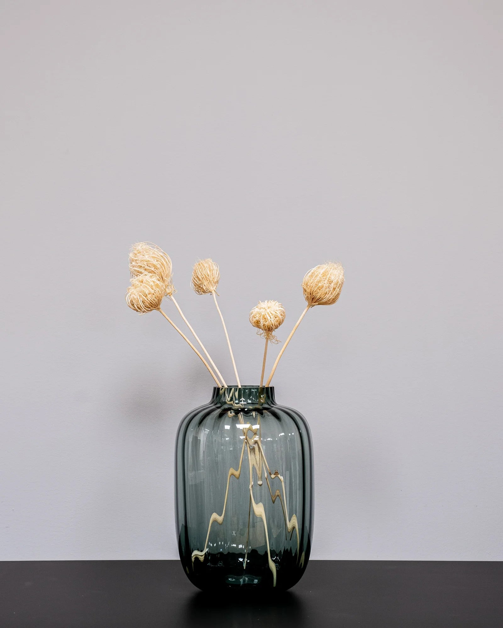 Ammi majus 5 st.- Slöjsilja för dekorativ styling i inomhusmiljö