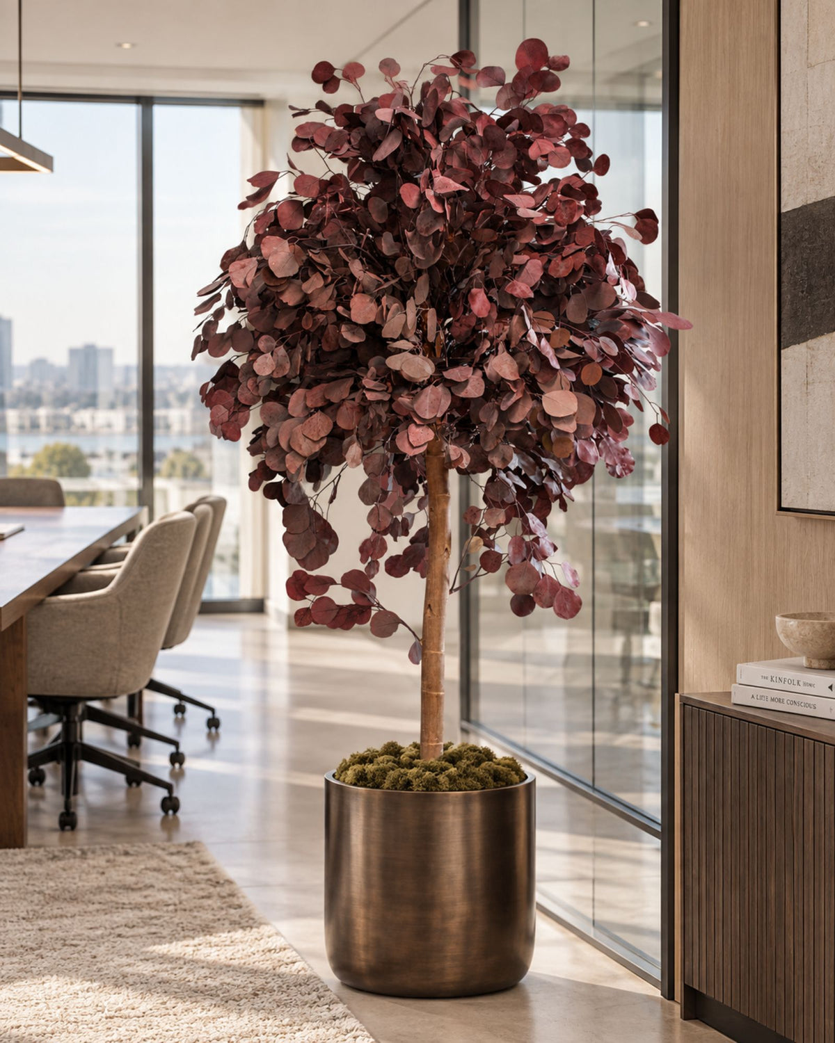 Preserved Eucalyptus Tree Populus – Crown
