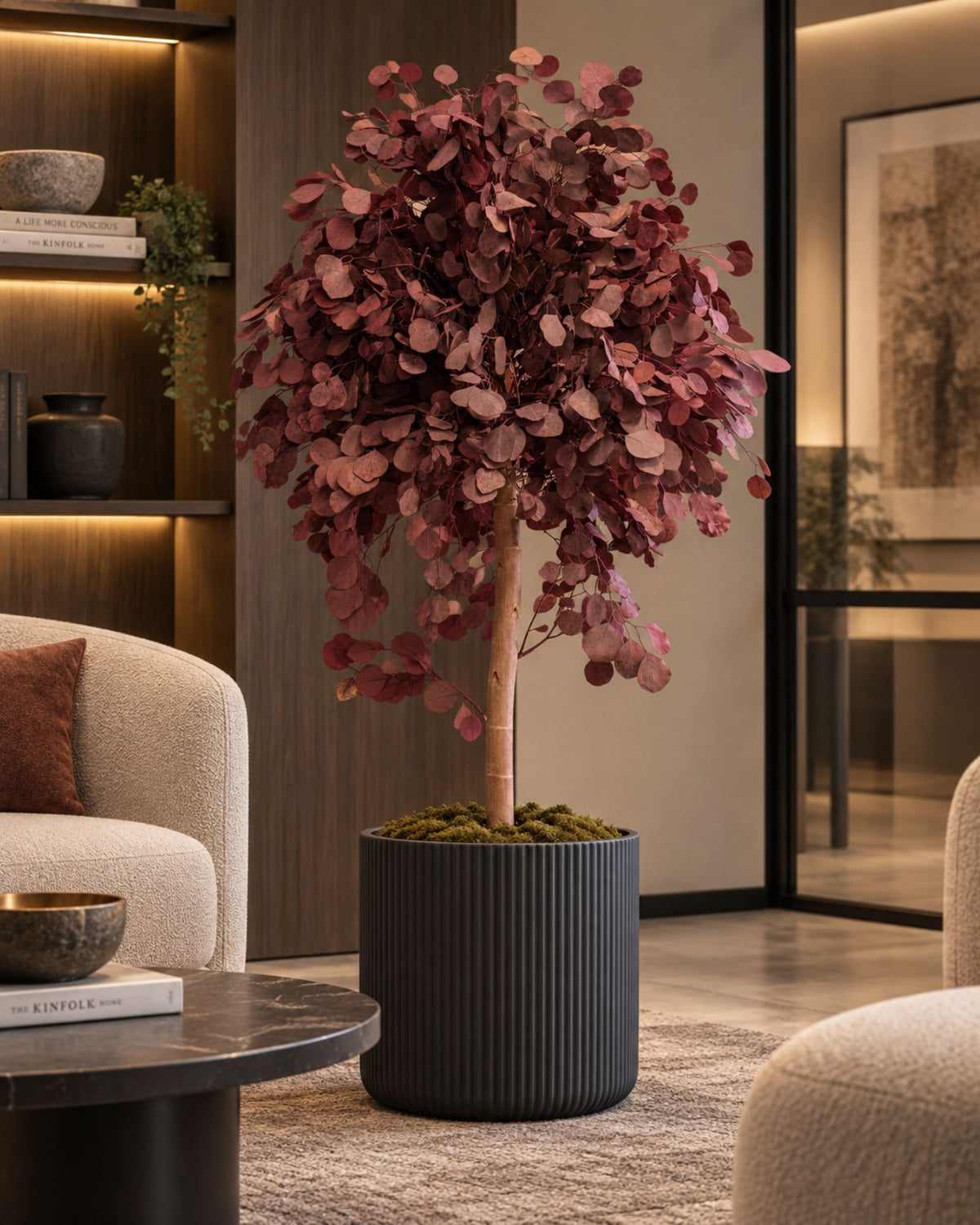 Preserved Eucalyptus Tree Populus – Crown