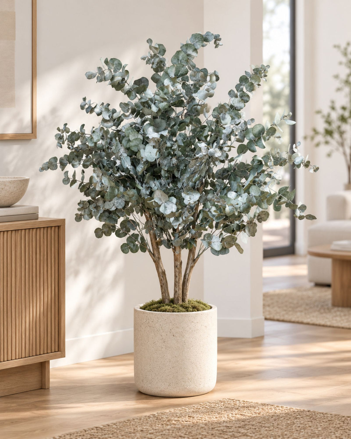 Preserved Eucalyptus Tree Cinerea – Shrub Tree