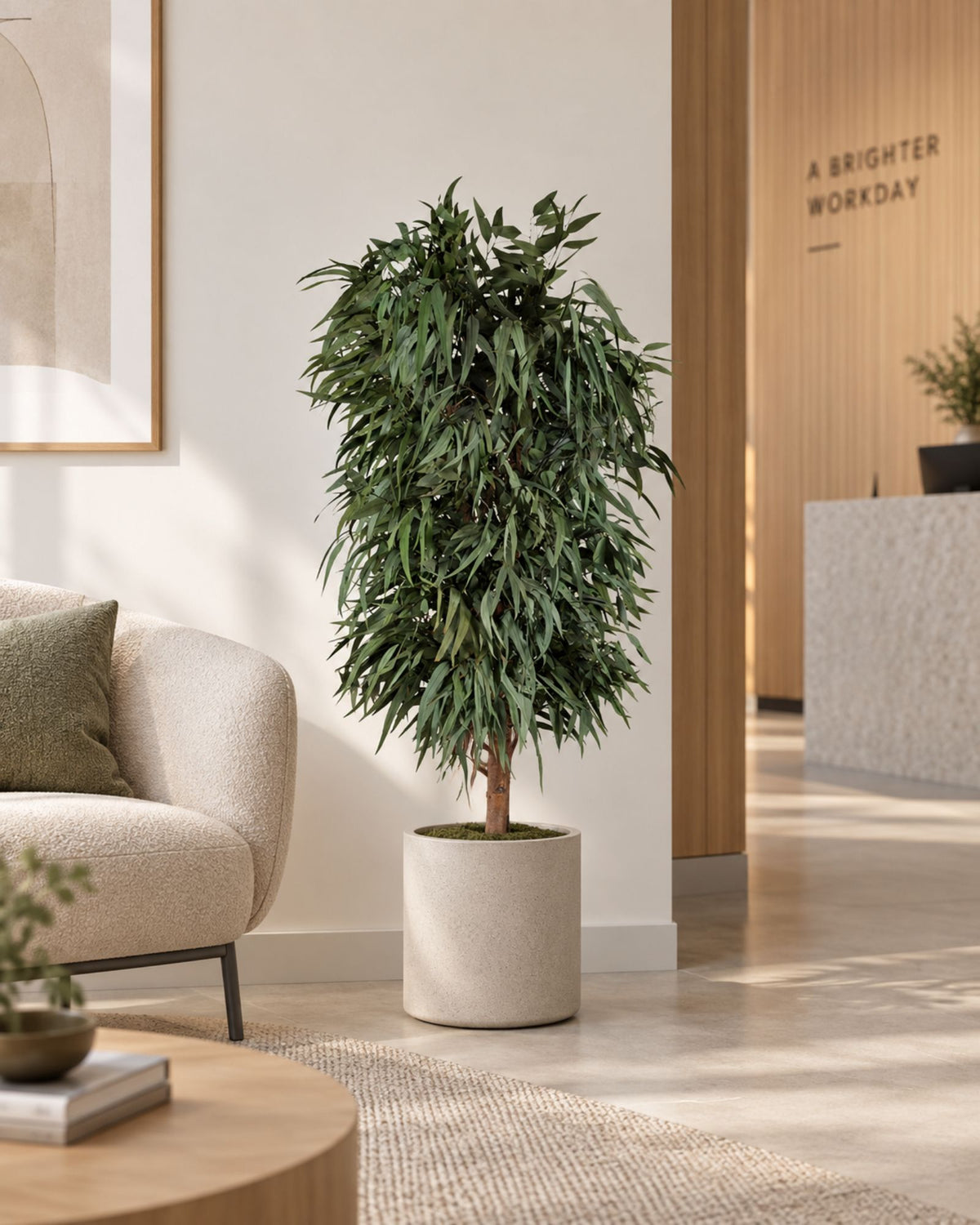 Preserved Willow Tree – Full