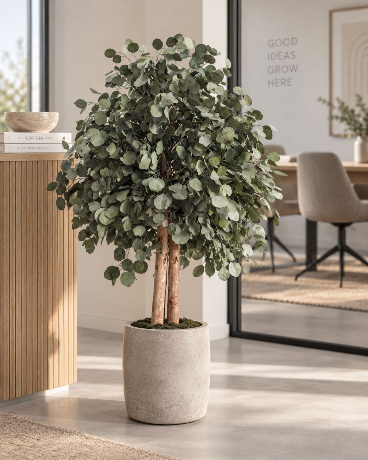 Preserved Eucalyptus Tree Populus – Shrub Tree