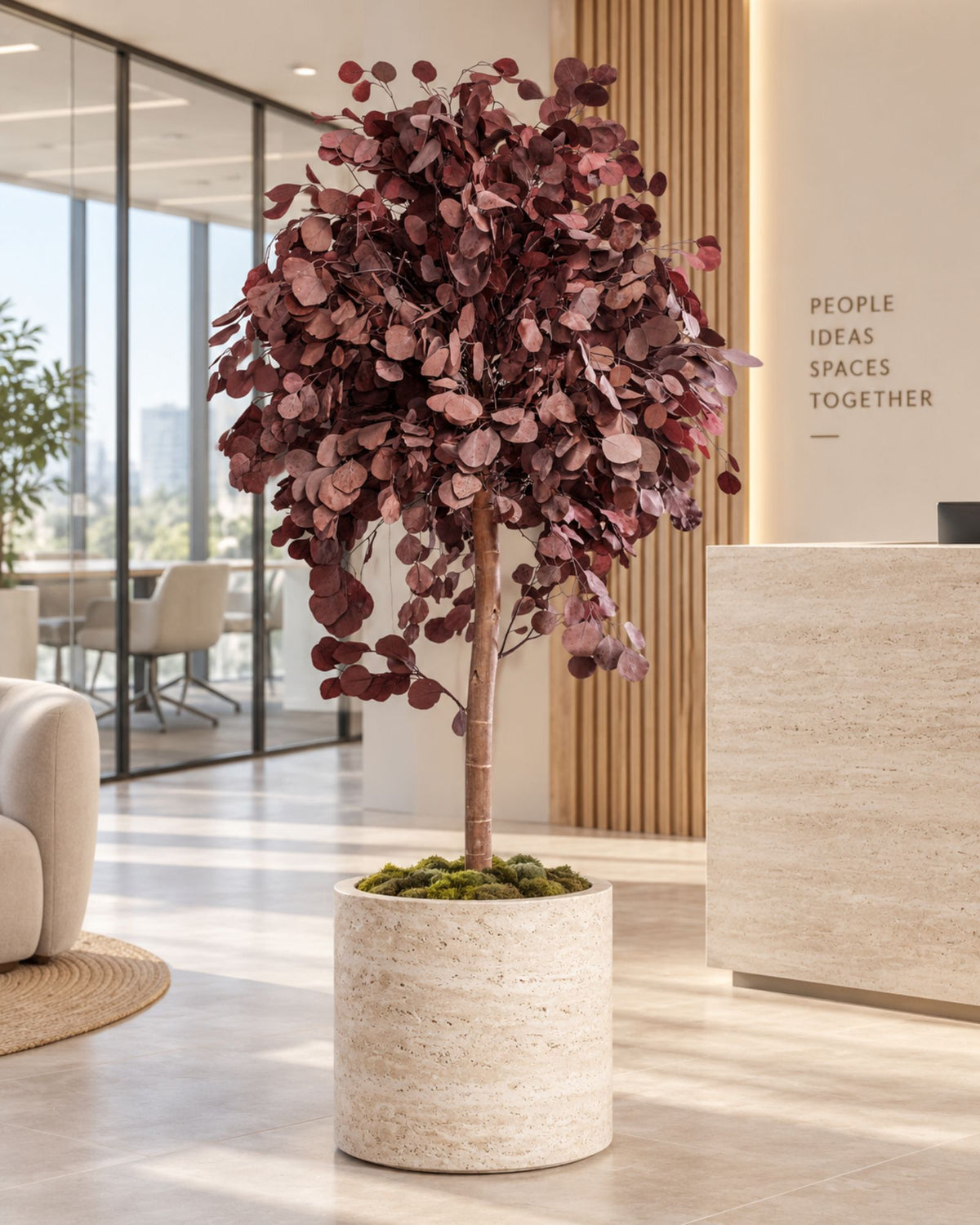 Preserved Eucalyptus Tree Populus – Crown