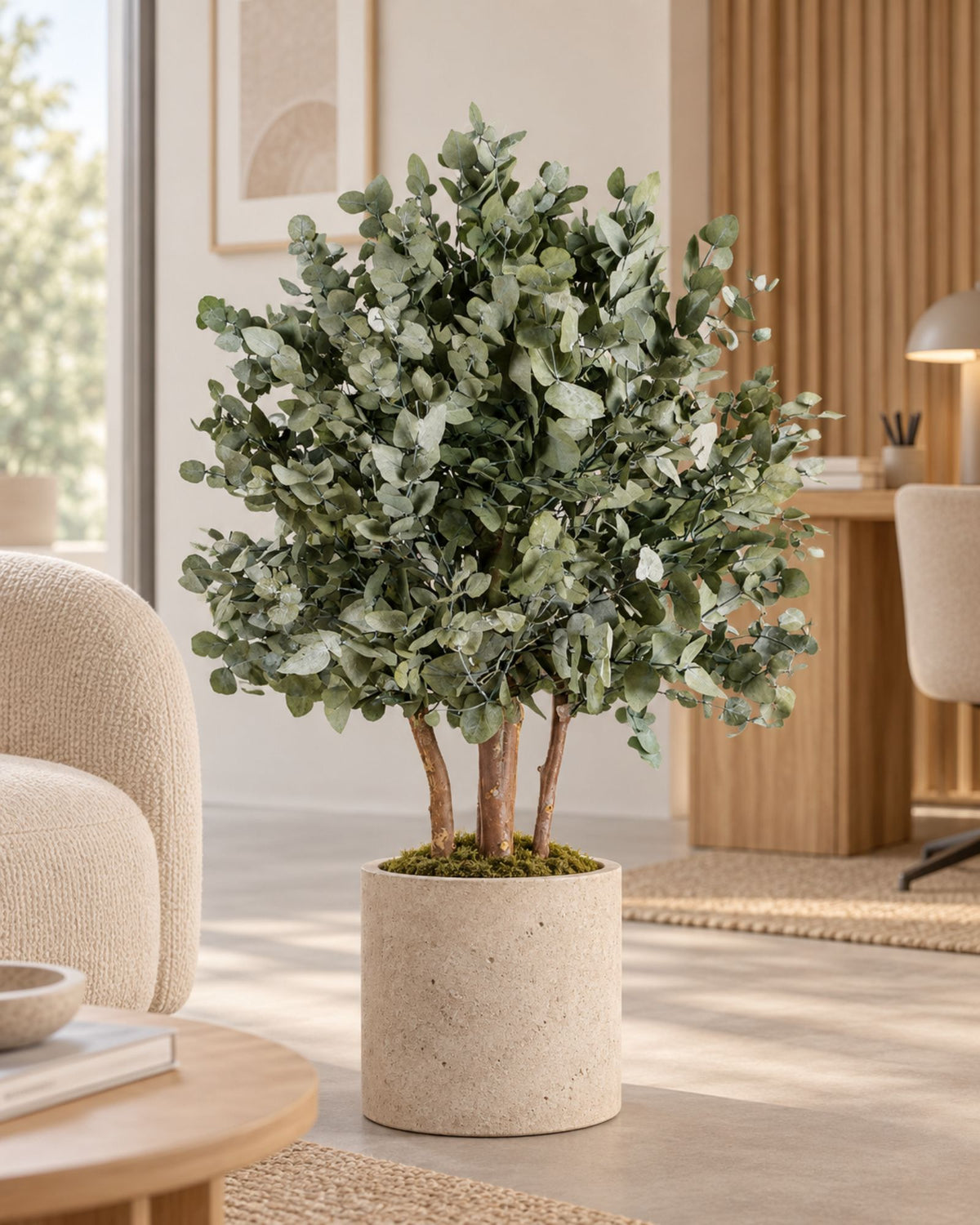 Konservierter Eukalyptusbaum Populus – Buschbaum