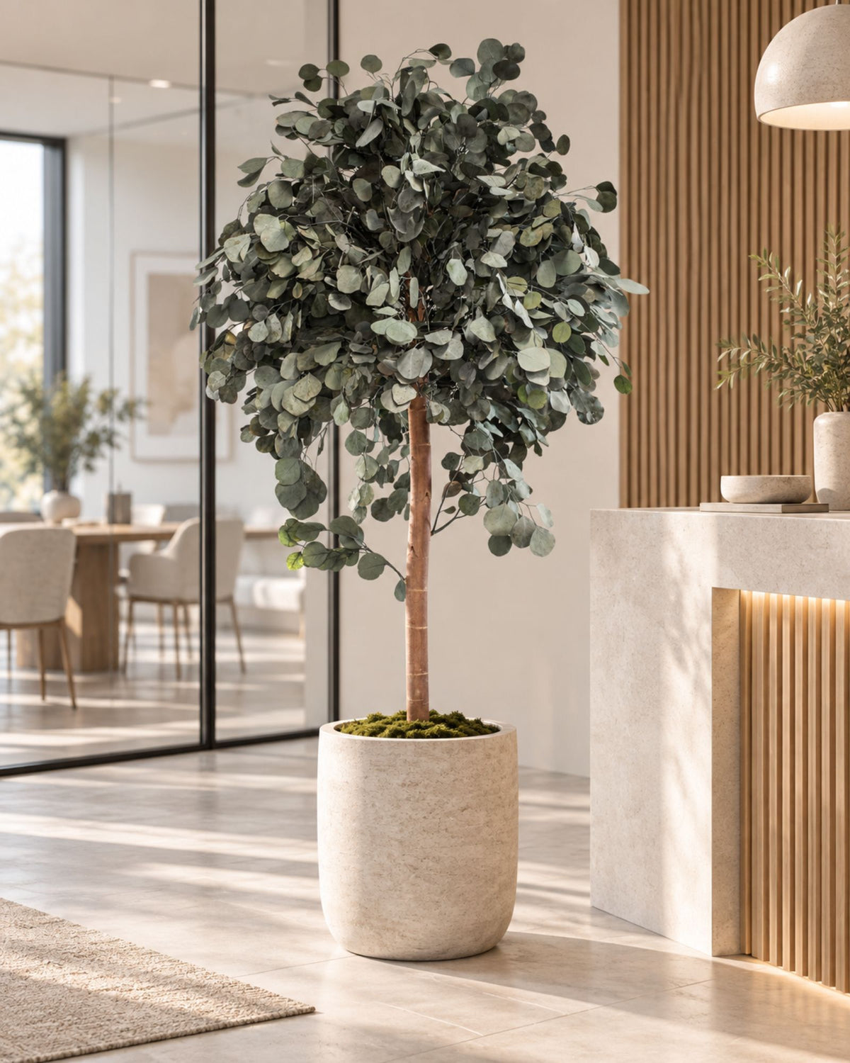 Preserved Eucalyptus Tree Populus – Crown