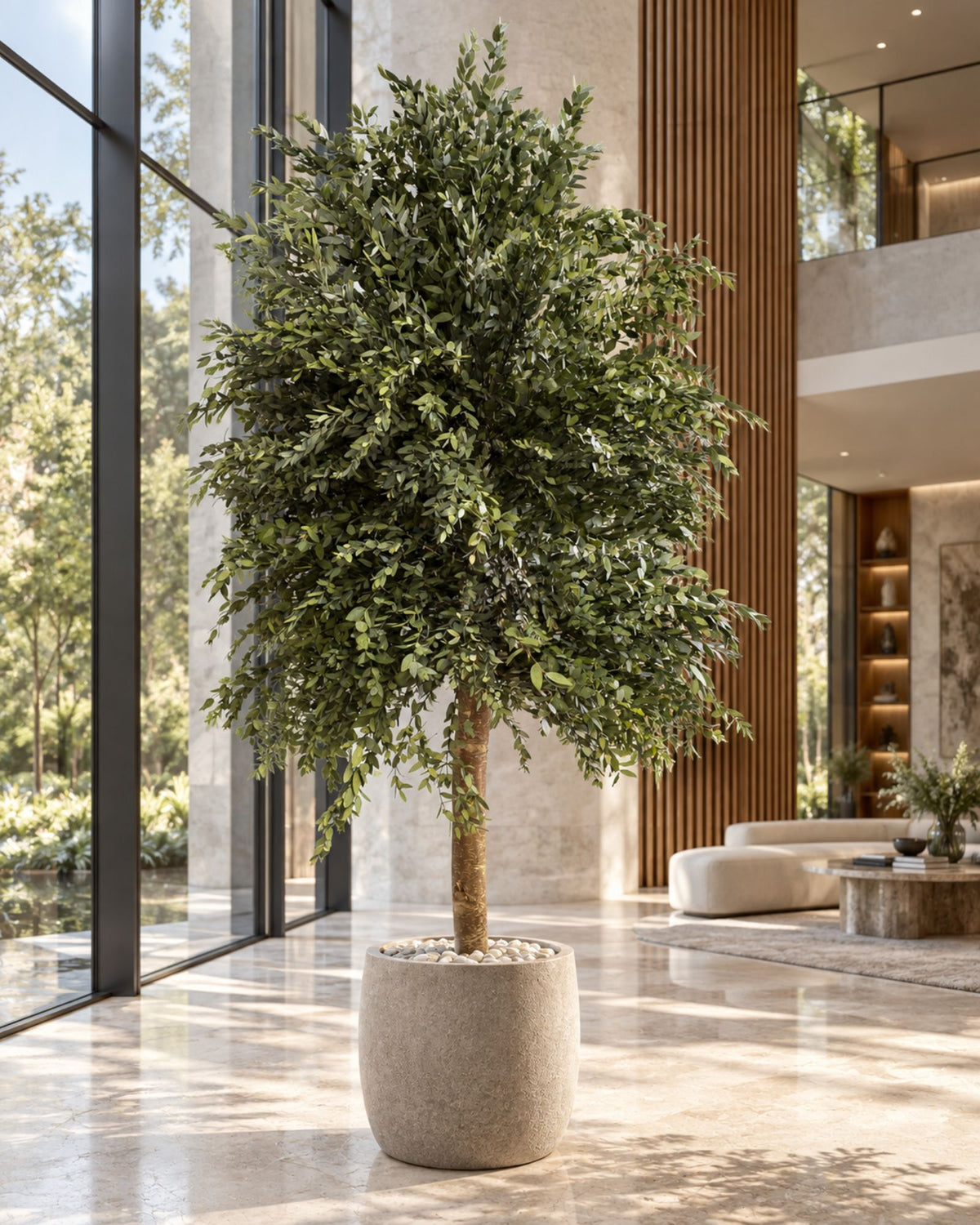 Preserved Eucalyptus Tree Parvifolia – Slim