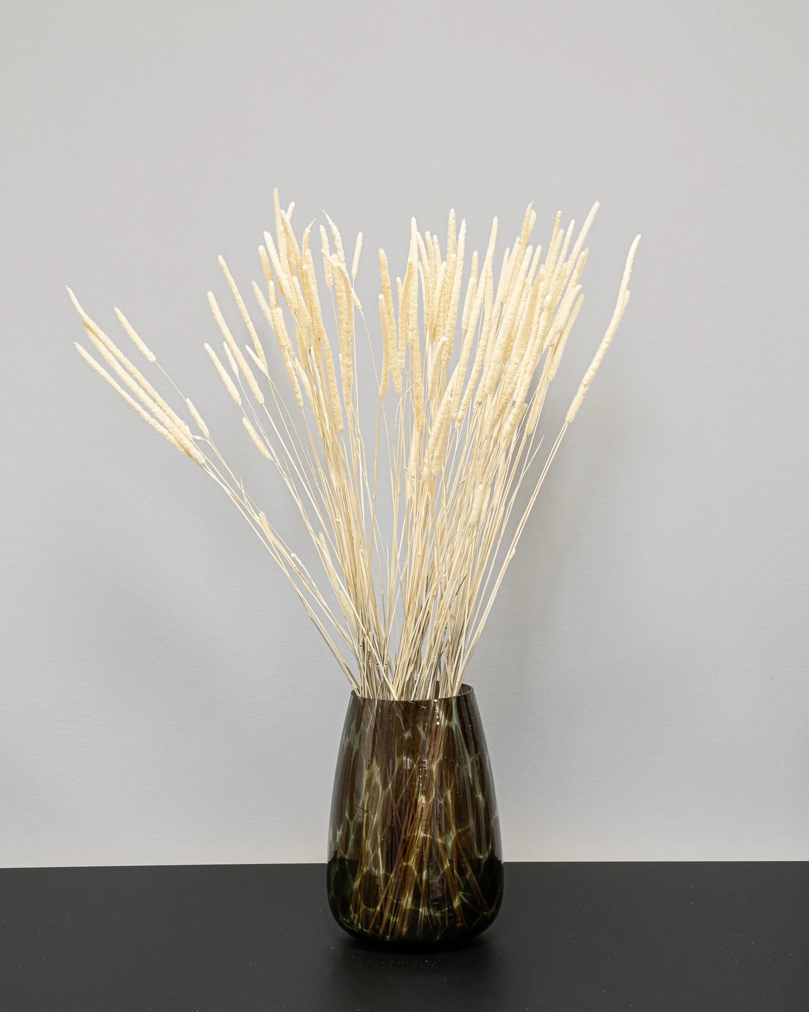 Phleum blekt vit – torkade blommor