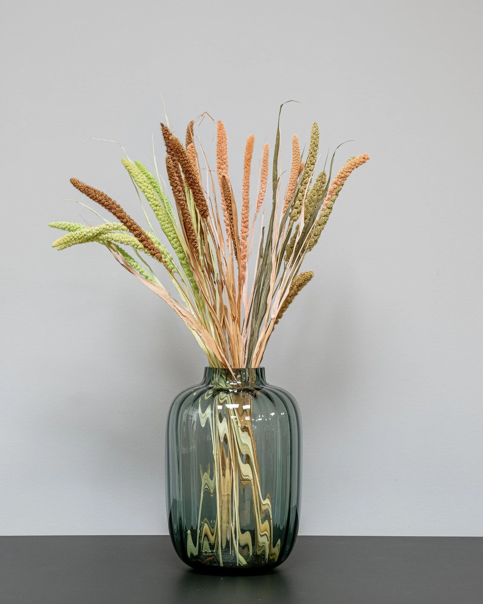 Torkad Sorghum 50–60 cm i Salmon