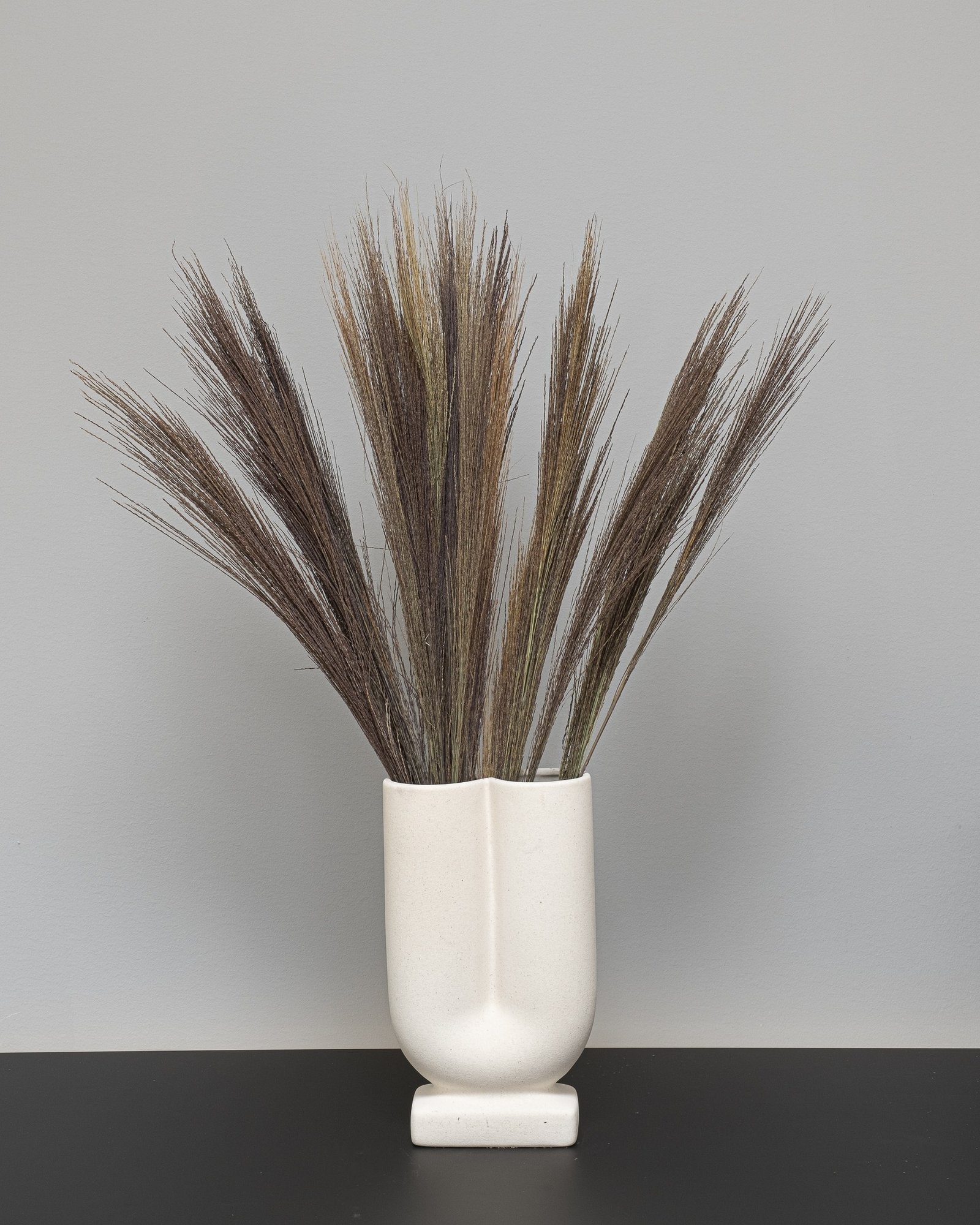 Bromsgräs – torkade blommor 50–60 cm, cirka 80 gram per bunt