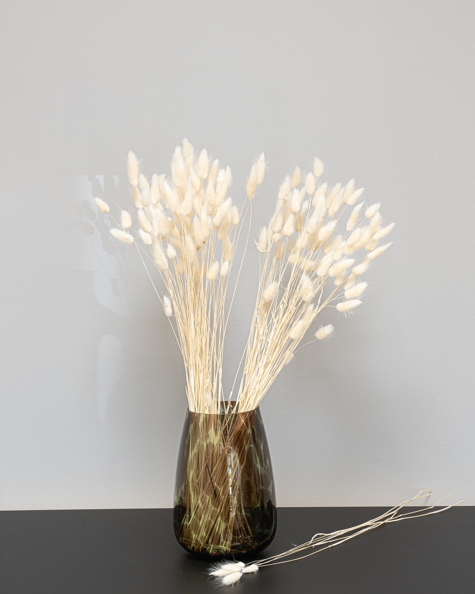 Lagurus - Torkade Blommor