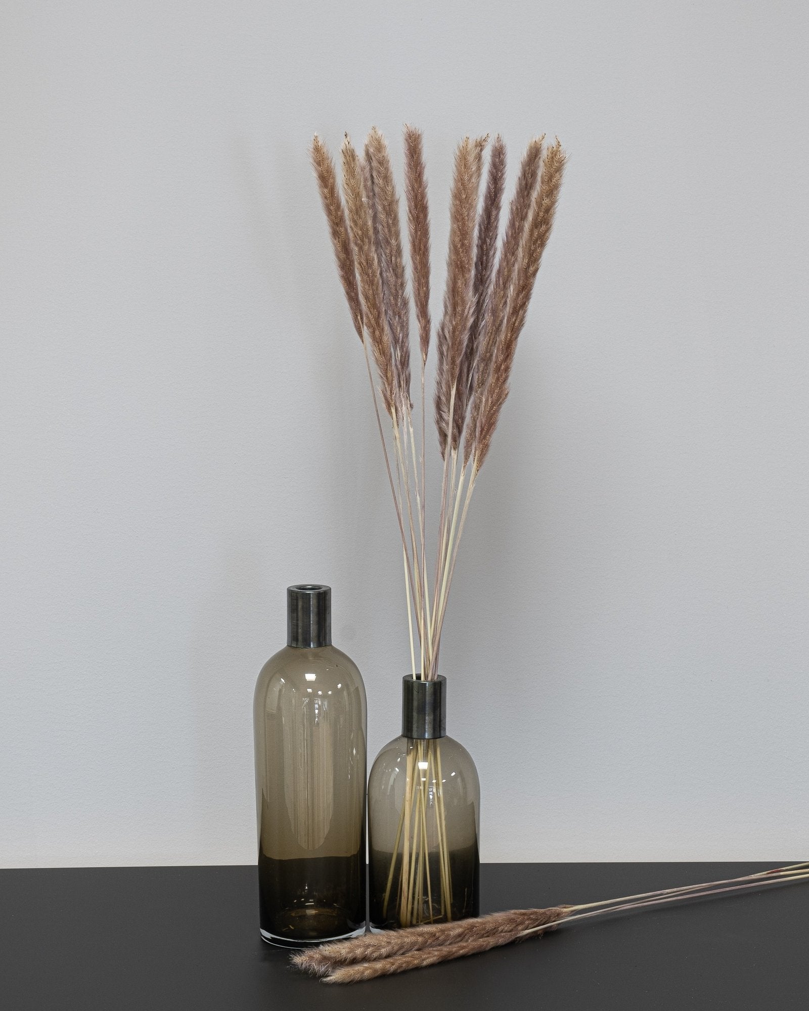 Mini Pampasgräs – 10 st. 70 cm i Svart