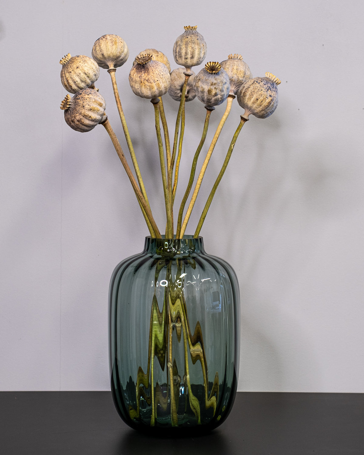 Dried Giant Poppy Pods, 10-Pack
