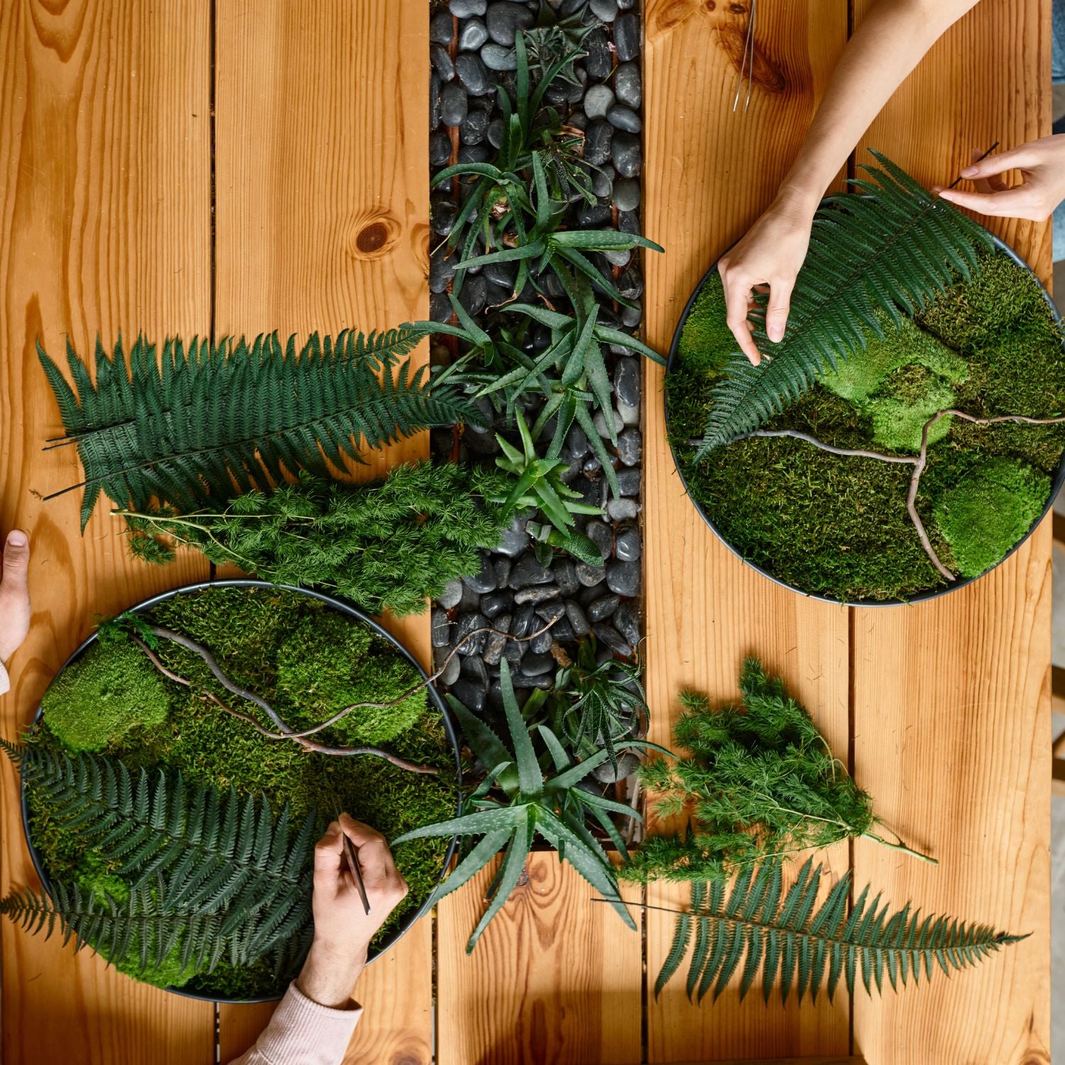 Händer som monterar runda mosspaneler med grön mossa och ormbunke på ett träbord – hantverk hos Forever Flora