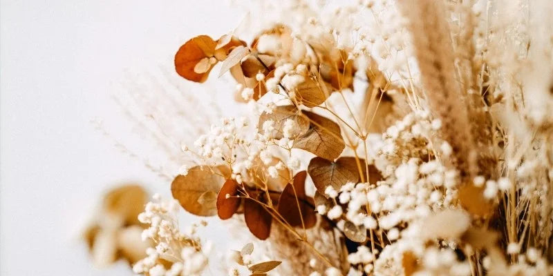 Hur Torkar Man Blommor Hemma? Enkel Steg-för-Steg Guide