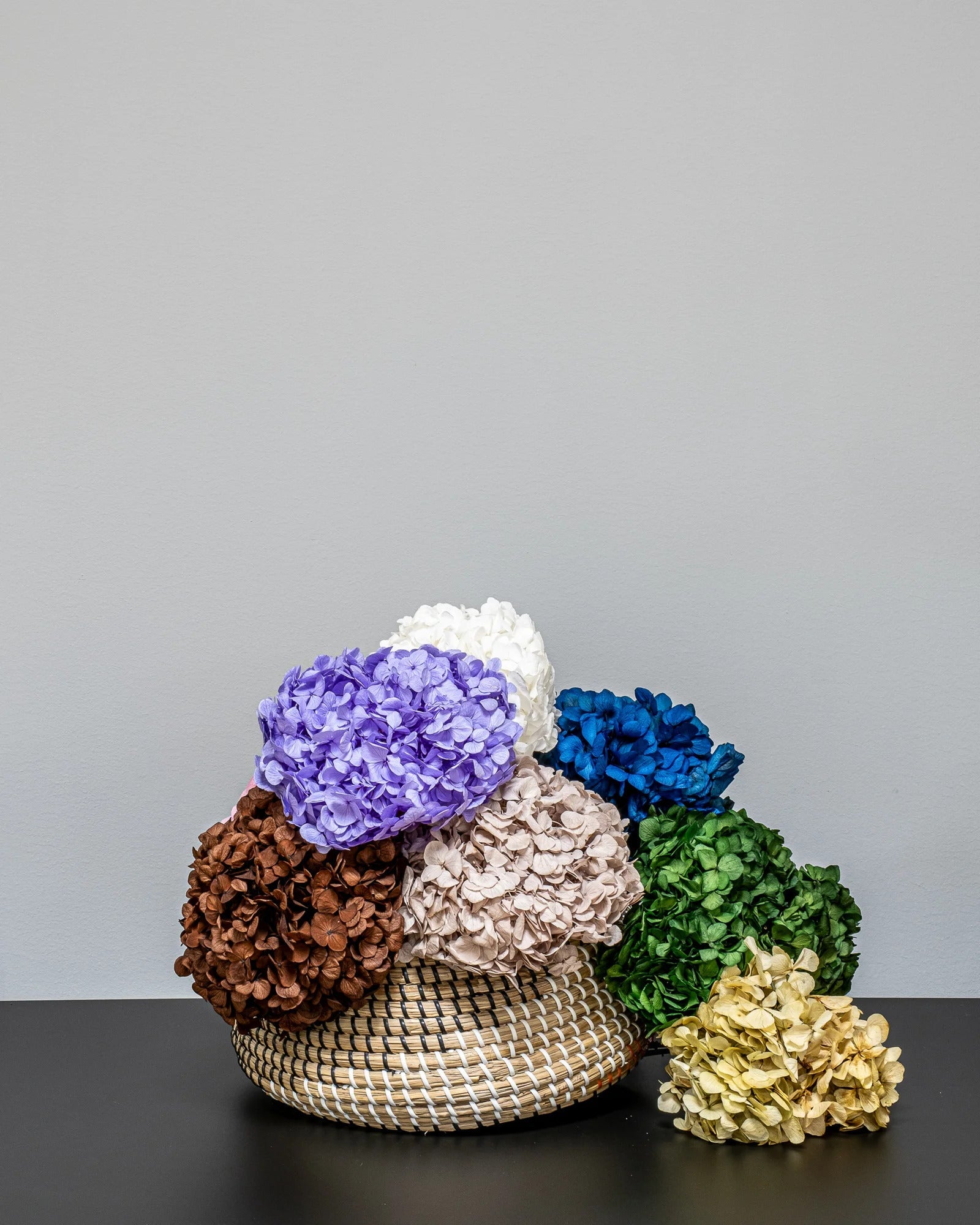 Konserverad hortensia