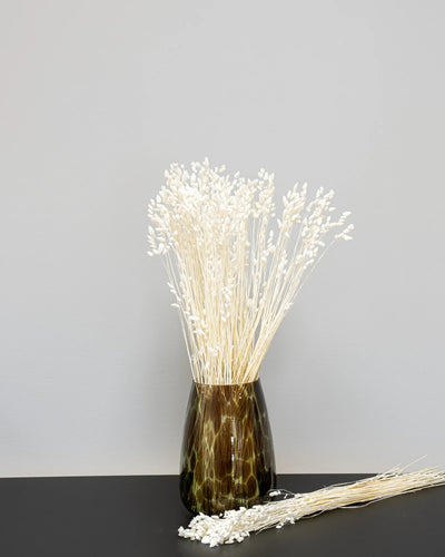 Briza för buketter och blomsterarrangemang