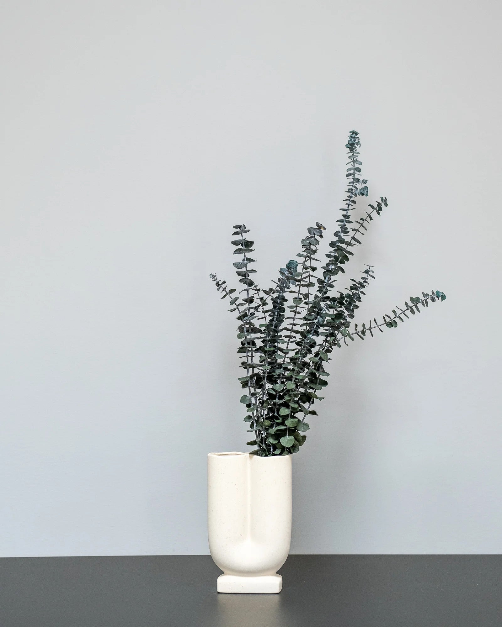 Eucalyptus Baby Blue för dekorativ styling i inomhusmiljö