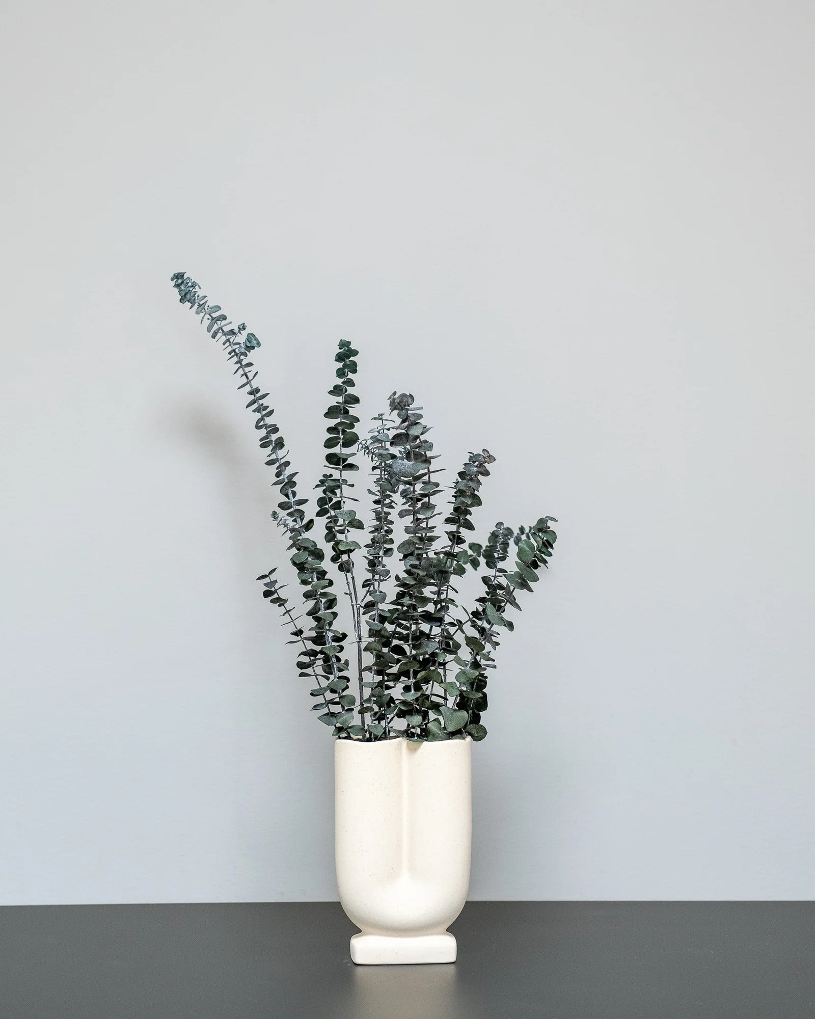 Eucalyptus Baby Blue – konserverad växt från Forever Flora i grön