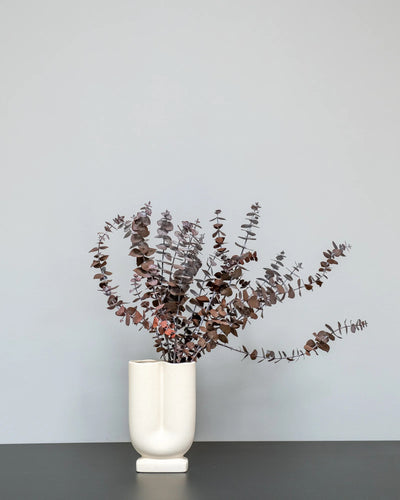 Konserverad växt med detaljer från Eucalyptus Baby Blue