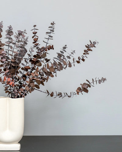 Eucalyptus Baby Blue som grön dekoration för hem och inredning i röd