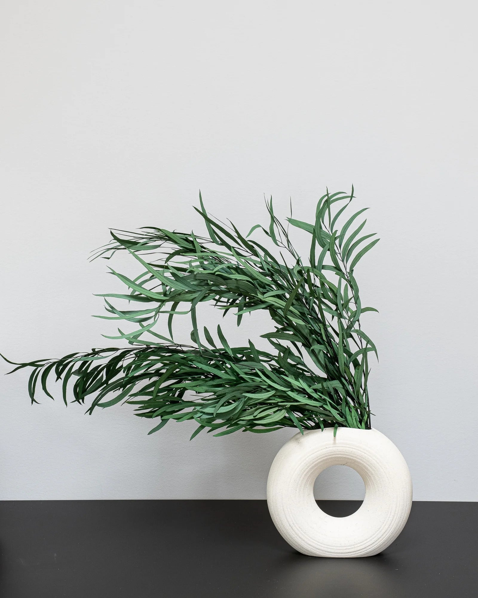 Eucalyptus Nicoli – konserverad växt från Forever Flora i grön