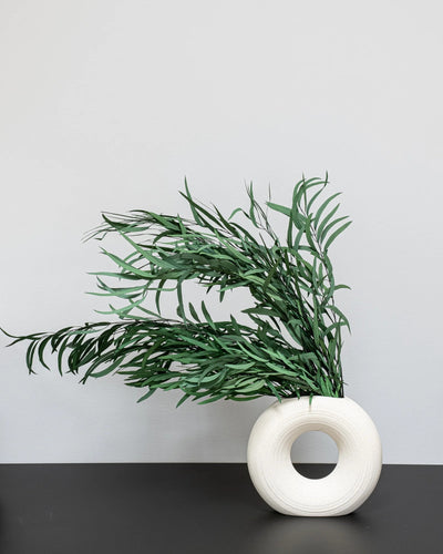 Eucalyptus Nicoli – konserverad växt från Forever Flora i grön