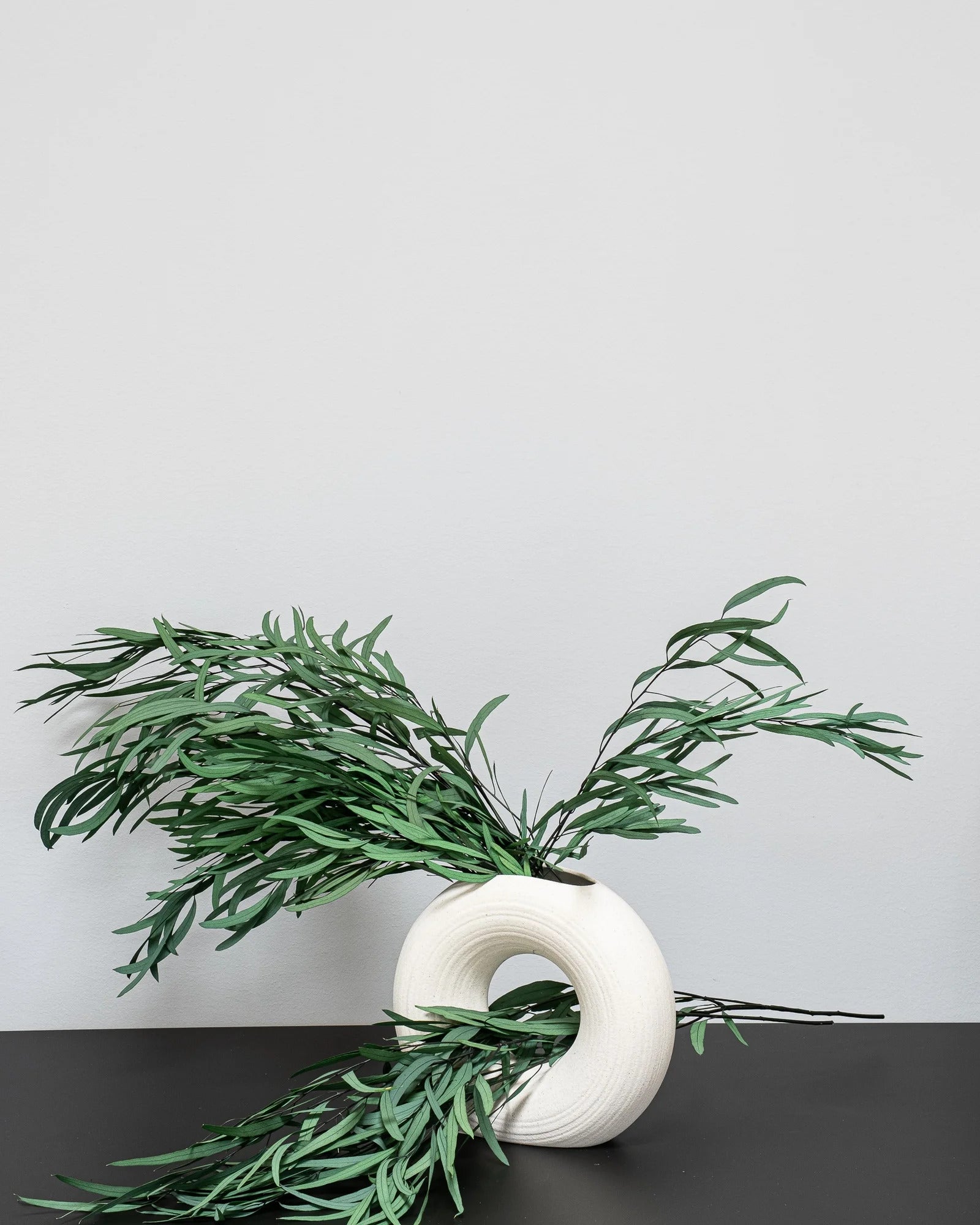 Eucalyptus Nicoli som dekorativ produkt från Forever Flora