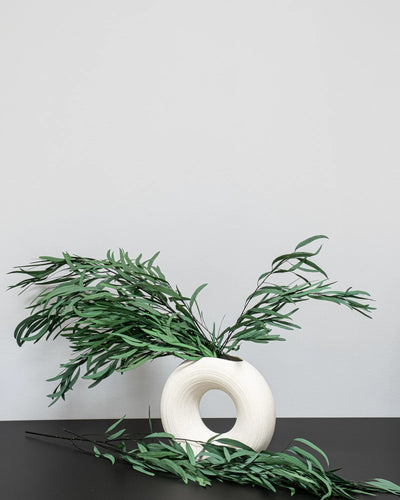 Detaljbild av Eucalyptus Nicoli som konserverad växt