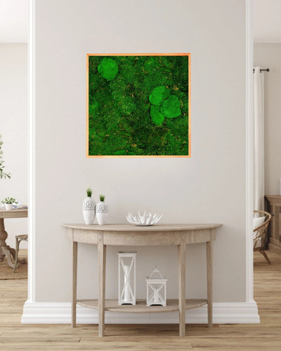 Kvadratisk mosstavla mix med mossplatta och bollmossa som grön väggdekoration för inomhusmiljö – 50×70 cm
