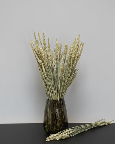 Vete – torkade blommor 50–60 cm i Silver