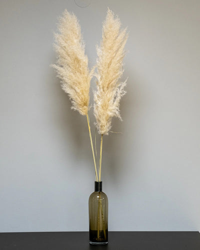 Fluffigt Pampasgräs Super 110–120 cm, 1 eller 3 stjälkar